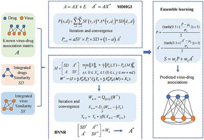 A new integrated framework for the identification of potential virus–drug associations